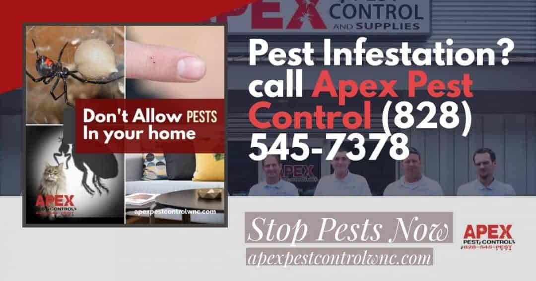 APEX Pest Control