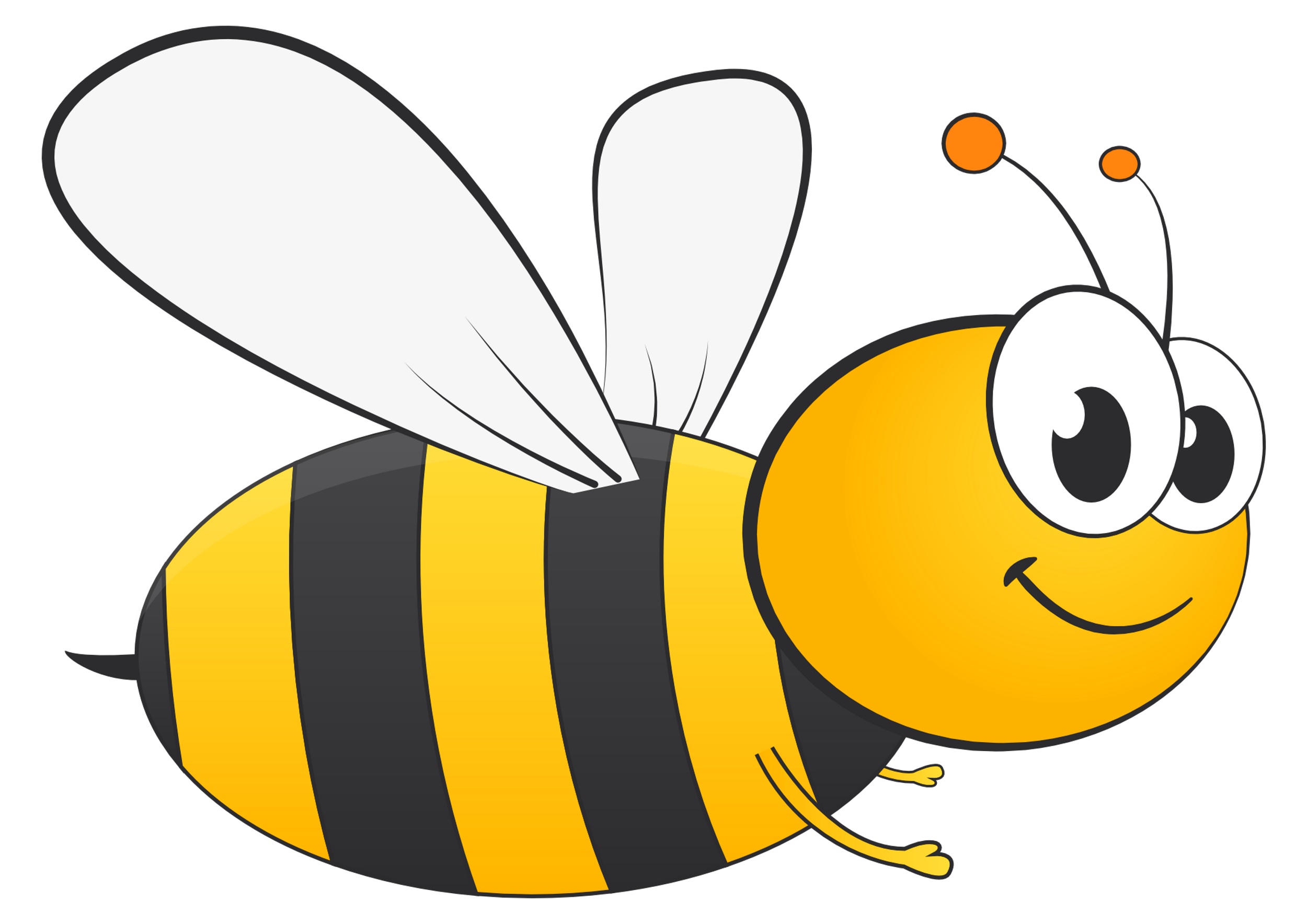 BZ Bodies Beekeeping