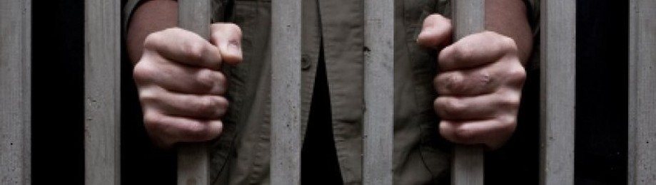 All-Out Bail Bonds