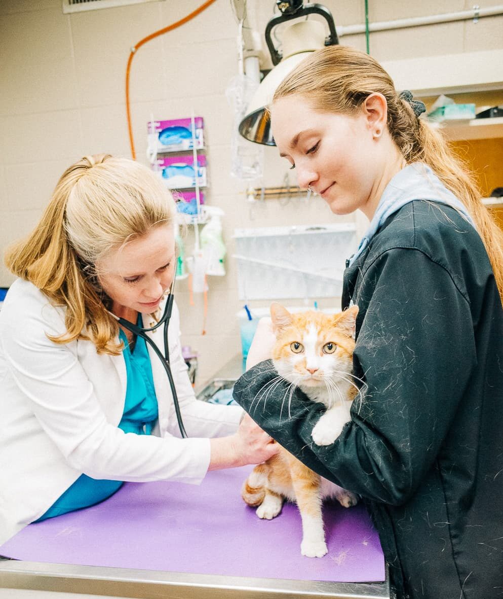 Animal Medical Center