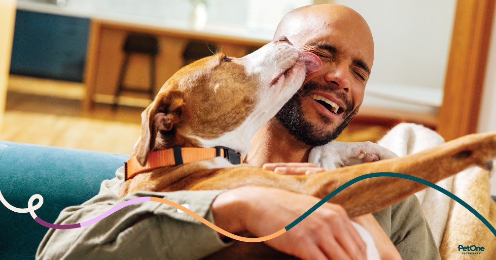 Above & Beyond Pet Care Hospital
