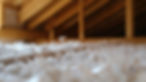 All Seasons Insulation & Development