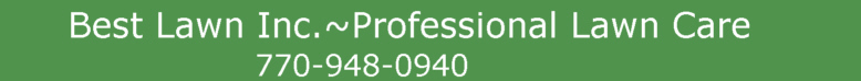 Best Lawn Inc.