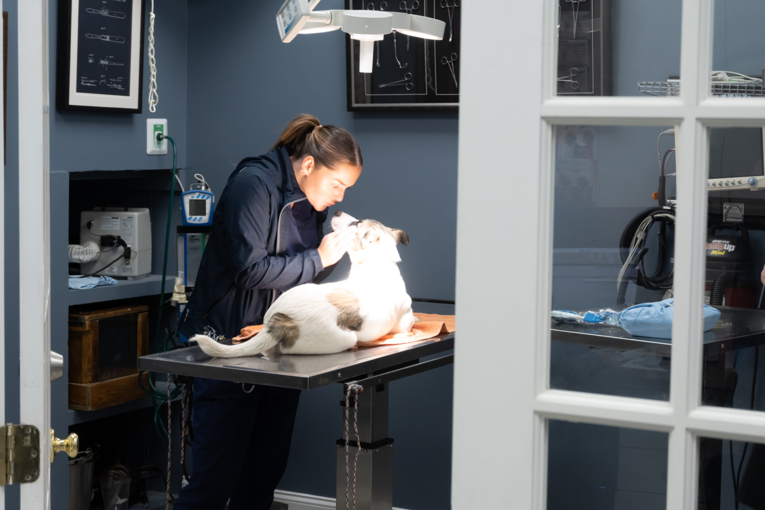 Kennesaw Mountain Veterinary Services