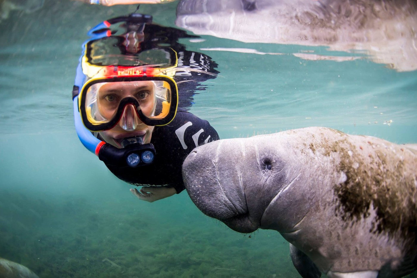 Fun 2 Dive Scuba & Snorkeling