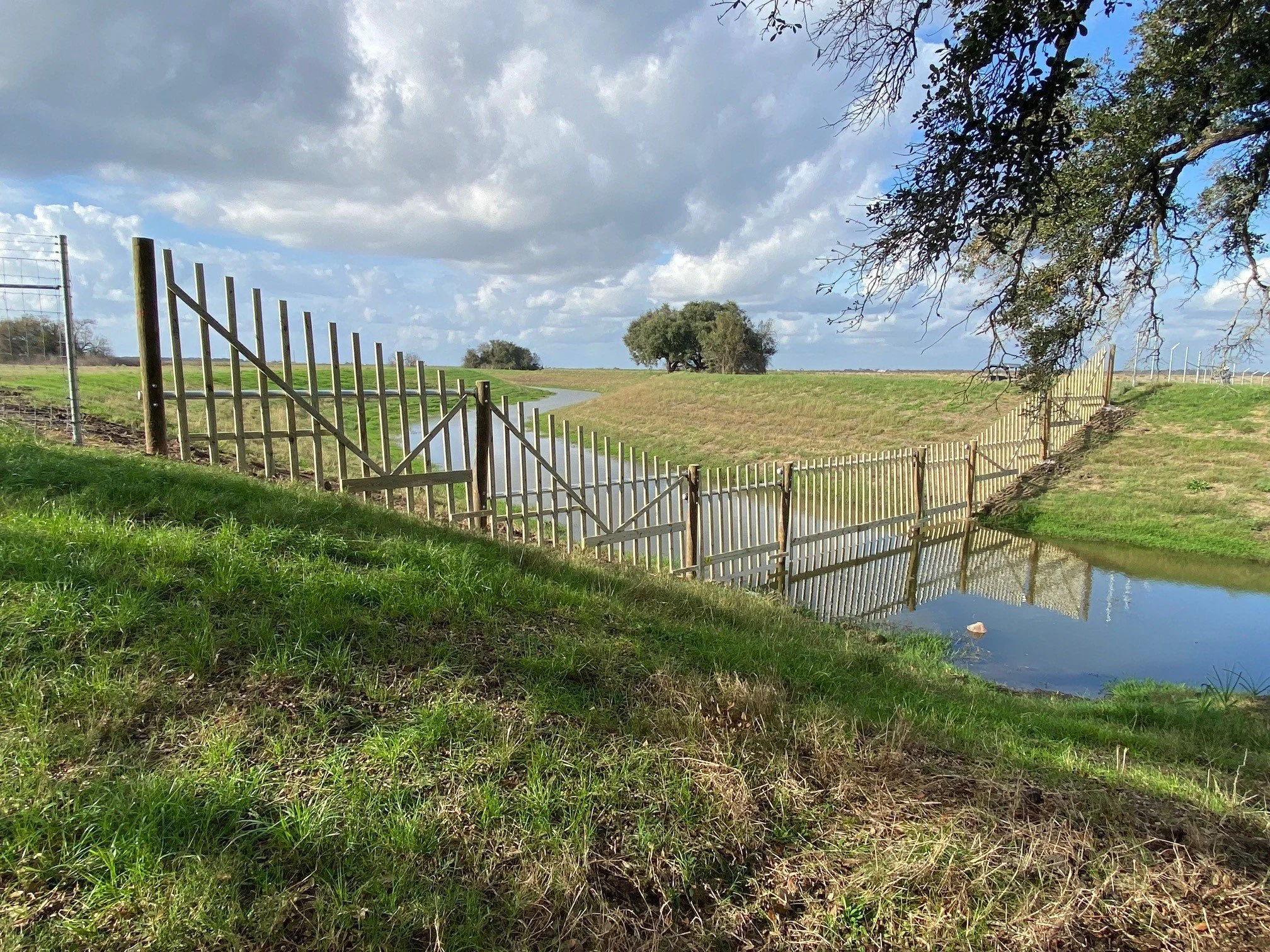 Commercial Fence