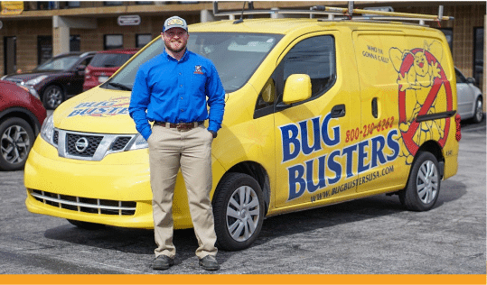 Bug Busters, USA