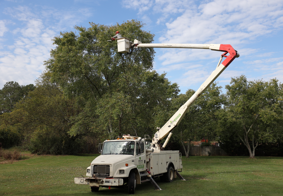 On Call Tree Service
