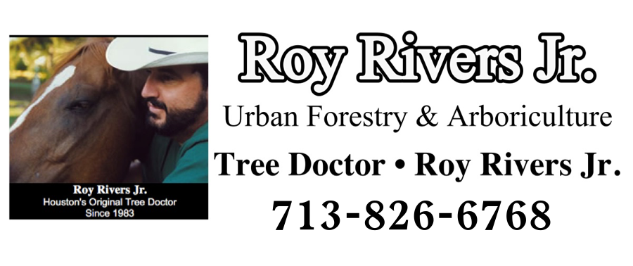 Tree Doctor