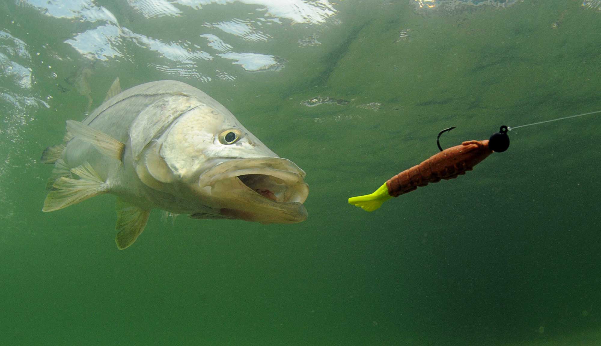 A Fishin' Mission