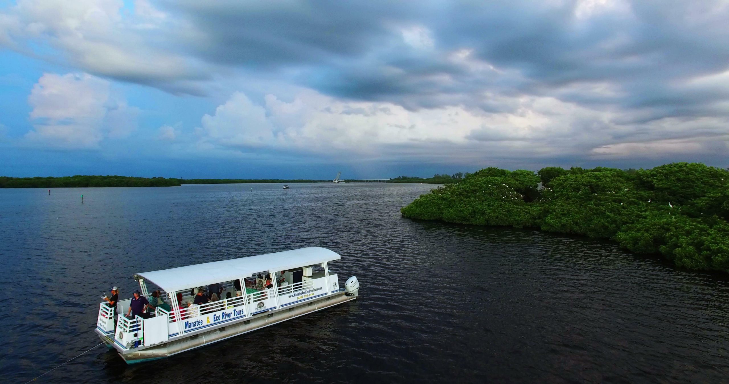 Manatee & Eco River Tours