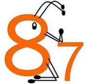 A1 American 87 Pest Spray