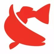 Chesapeake Christian Academy logo