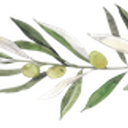 Olive + Grace Events logo