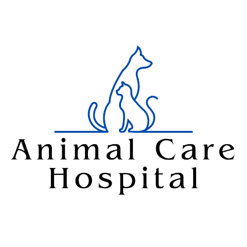 Animal Care Hospital hero