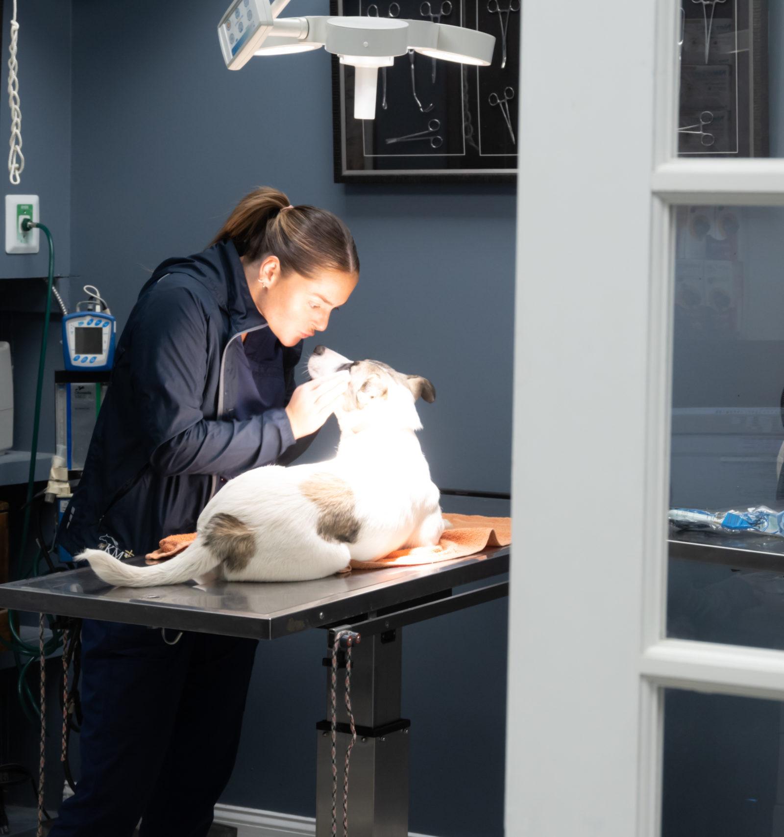 Kennesaw Mountain Veterinary Services hero