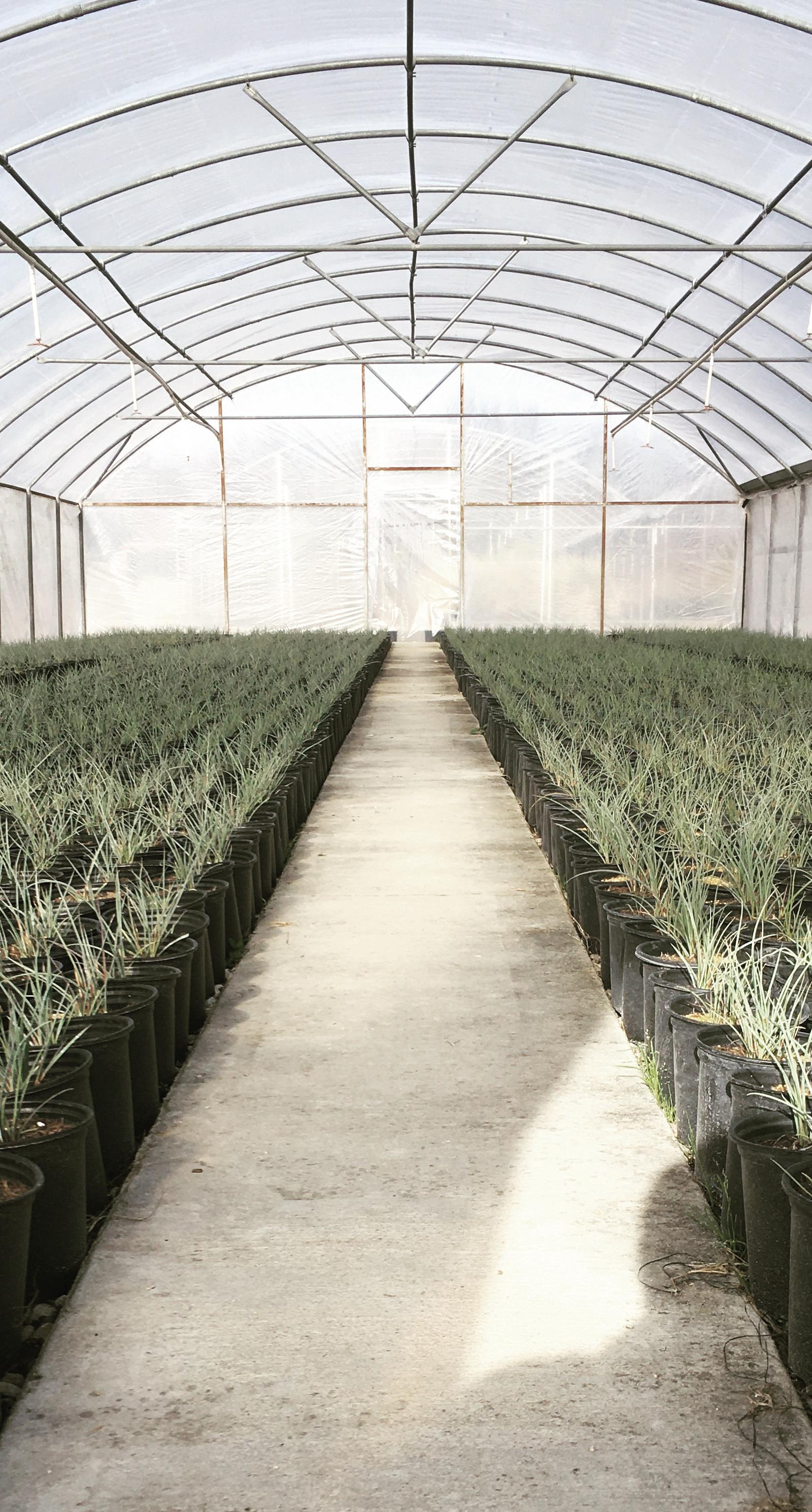 Landmark Nurseries, Inc. hero