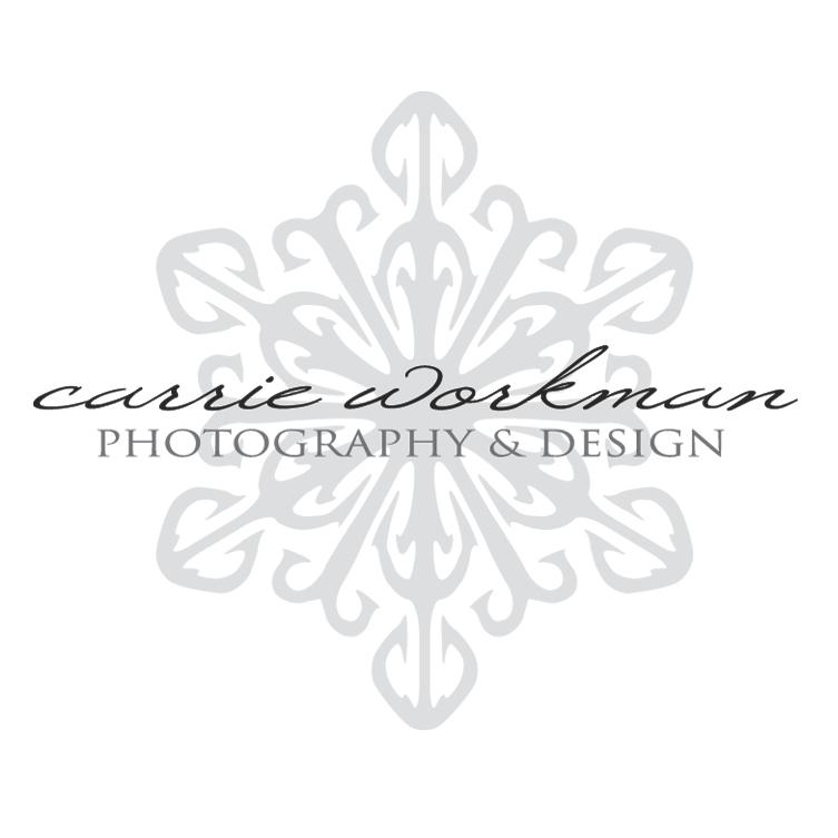 Carrie Workman Photography hero