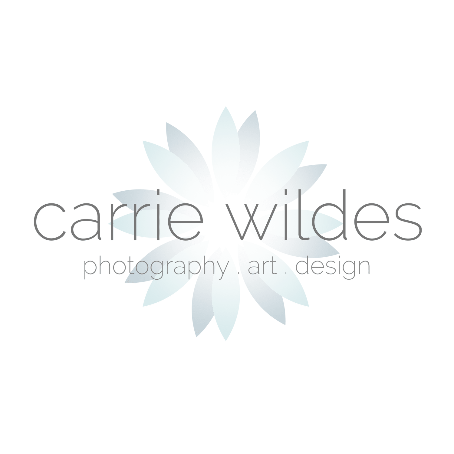 Carrie Wildes Photography hero