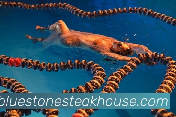 Bluestone Steakhouse & Seafood hero